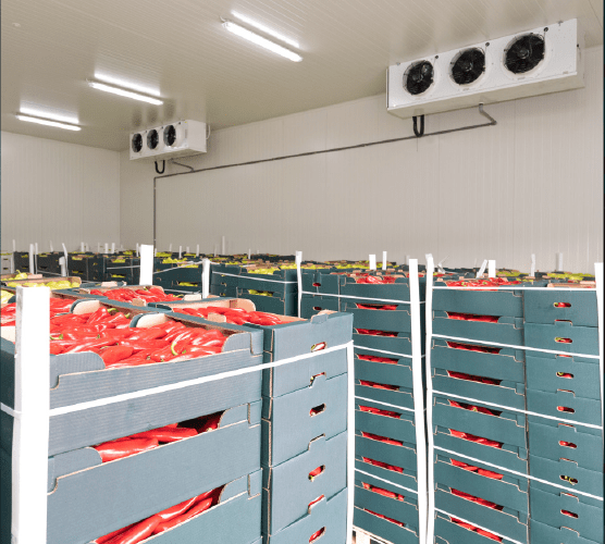 Masdar’s second Green Bond raises USD1 billion