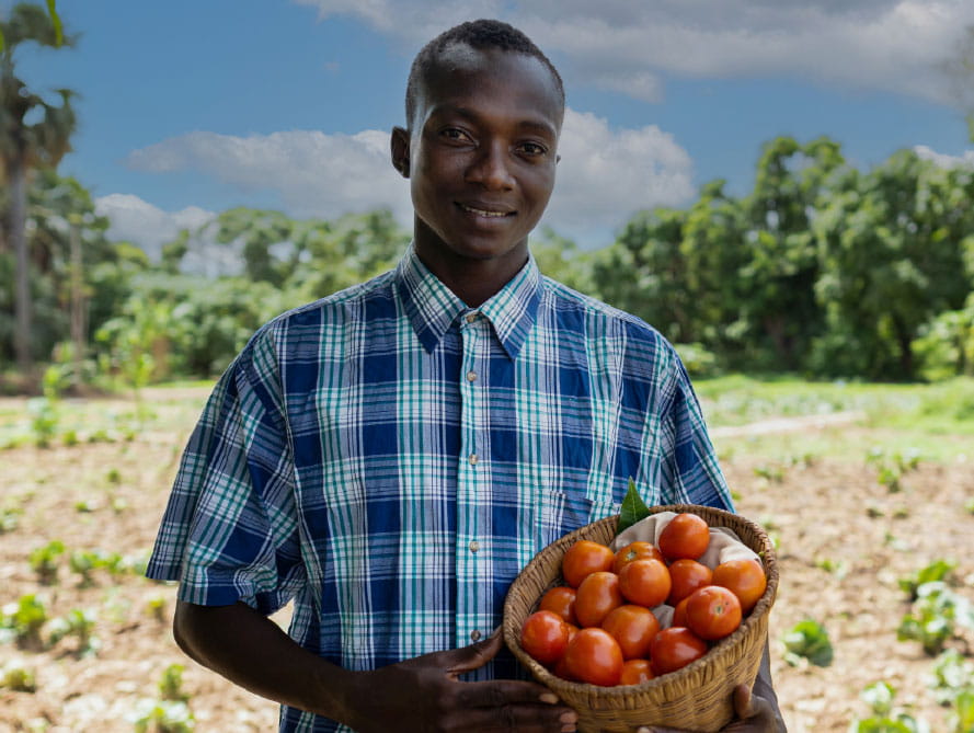 Sustainability Insider