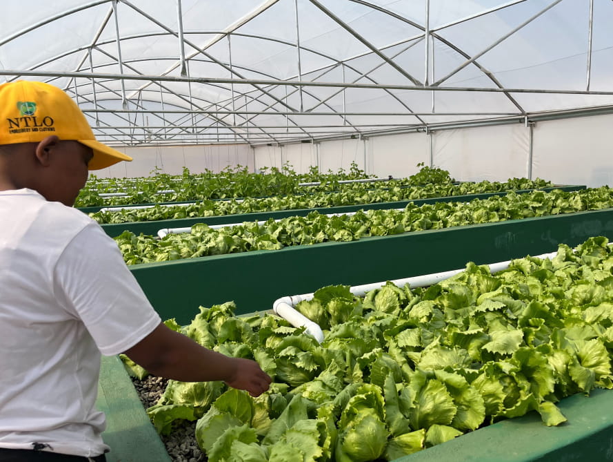 Sustainability Insider