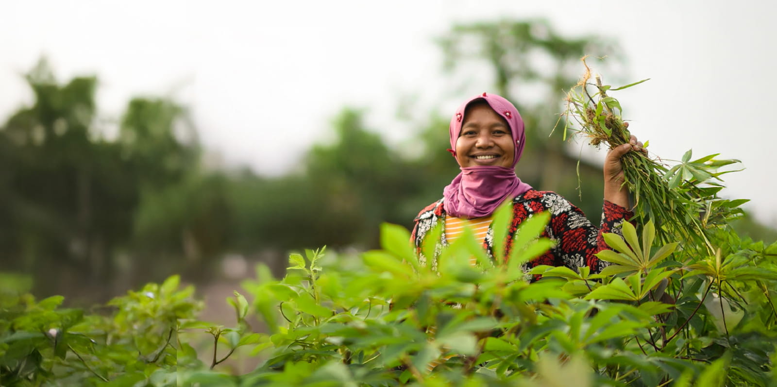 About the Prize winners