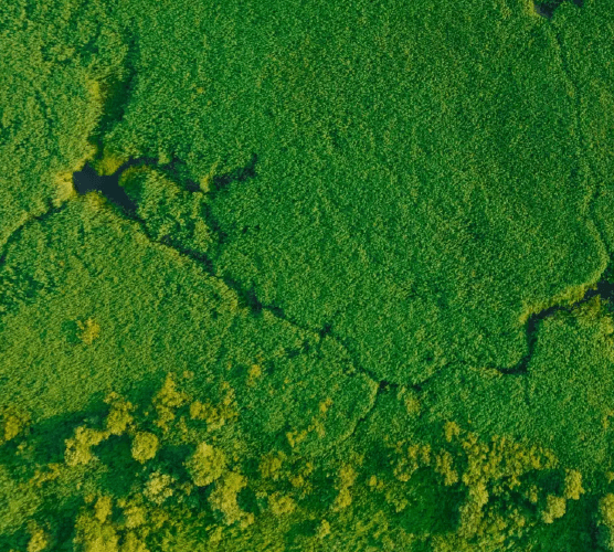 Masdar’s second Green Bond raises USD1 billion