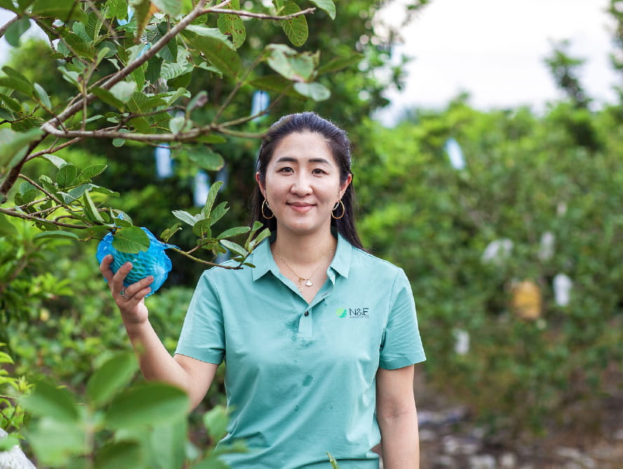 Sustainability Insider