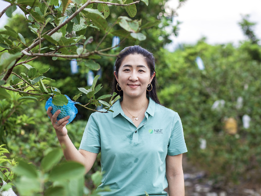 Sustainability Insider