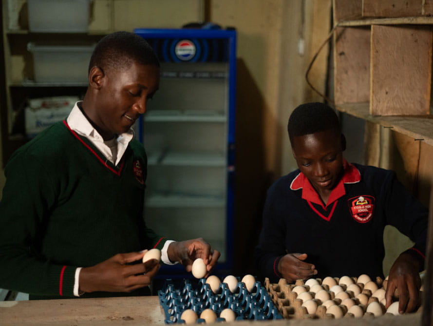 Sustainability Insider