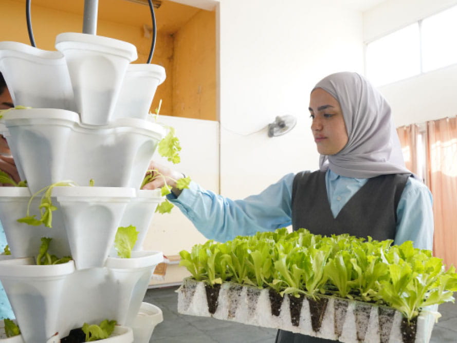 Sustainability Insider