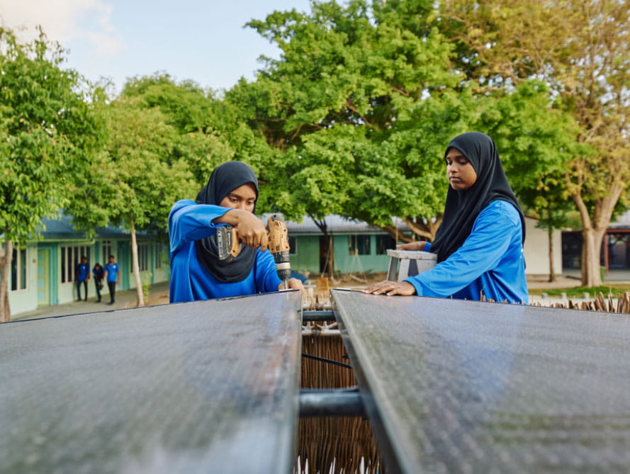 Sustainability Insider