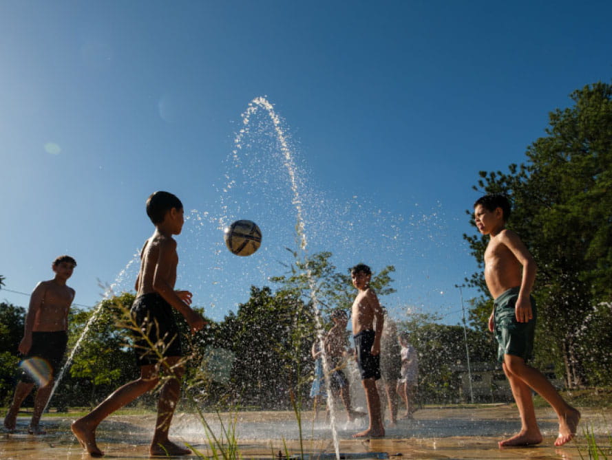 Sustainability Insider