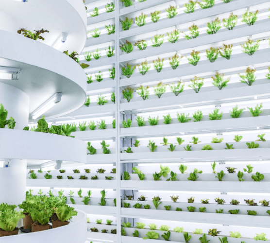 Masdar’s second Green Bond raises USD1 billion