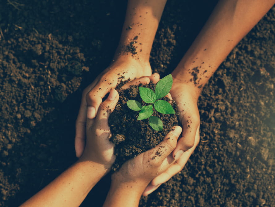 Sustainability Insider